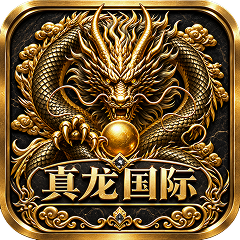 真龙国际