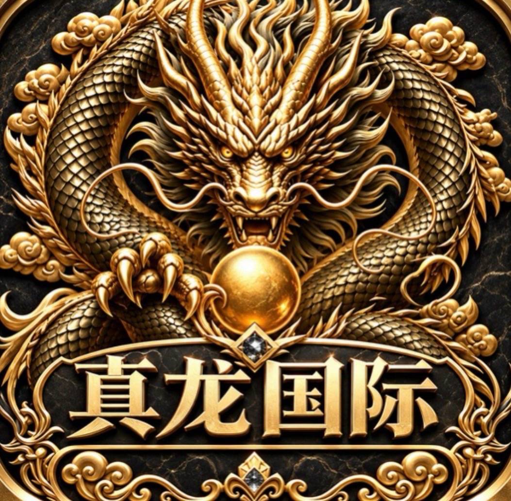 真龙国际